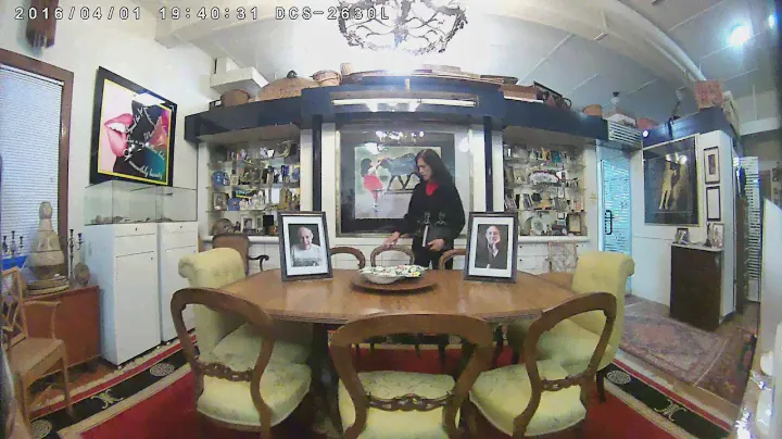 D-Link DCS-2630L Security Camera Video Sample